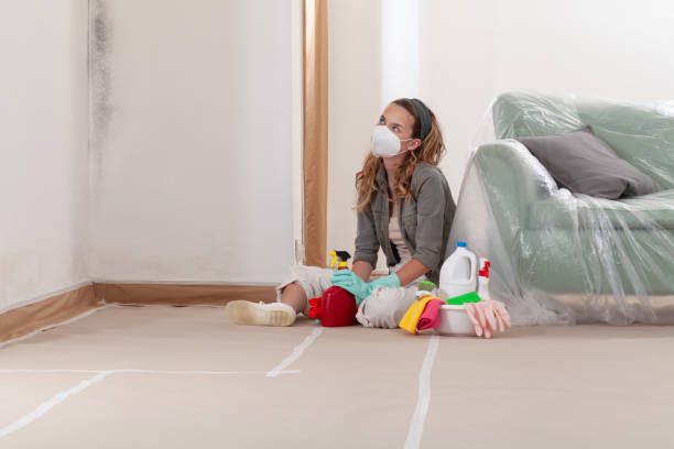 Reliable Black Mold Remediation contractor in Ramsey, NJ by Mold Remediation HQ